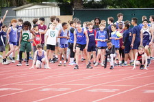 Enlarge photo 447