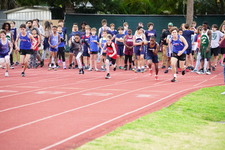 Enlarge photo 461
