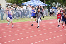 Enlarge photo 466