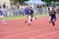 Enlarge photo 467