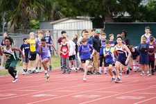 Enlarge photo 480
