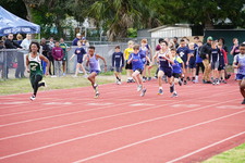 Enlarge photo 481