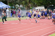 Enlarge photo 482