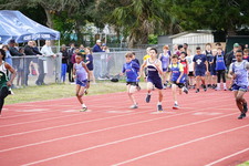 Enlarge photo 483