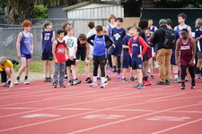 Enlarge photo 486