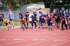 Enlarge photo 490