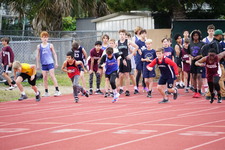 Enlarge photo 491