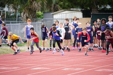 Enlarge photo 492
