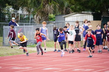 Enlarge photo 493