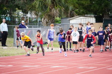 Enlarge photo 494