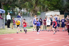 Enlarge photo 495