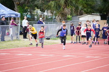 Enlarge photo 496