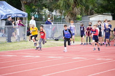 Enlarge photo 497