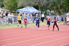 Enlarge photo 498