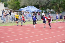 Enlarge photo 499