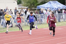 Enlarge photo 501