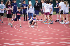 Enlarge photo 510