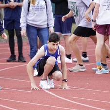 Enlarge photo 511