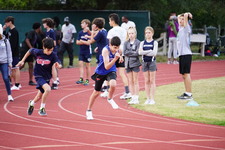 Enlarge photo 523