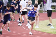 Enlarge photo 522