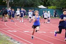 Enlarge photo 535