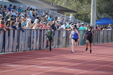 Enlarge photo 96