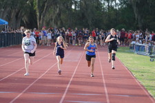Enlarge photo 105