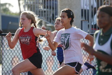 Enlarge photo 113