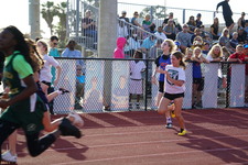 Enlarge photo 115