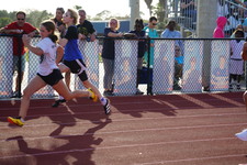 Enlarge photo 119