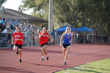 Enlarge photo 127