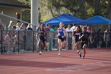 Enlarge photo 131