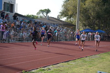 Enlarge photo 136