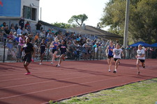 Enlarge photo 137