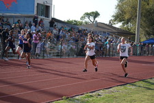 Enlarge photo 140