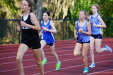 Enlarge photo 148