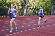 Enlarge photo 155