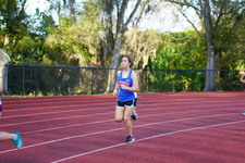 Enlarge photo 157