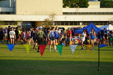 Enlarge photo 218