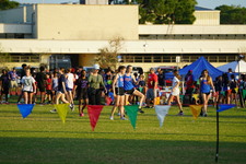 Enlarge photo 220