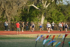 Enlarge photo 222