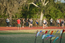 Enlarge photo 223