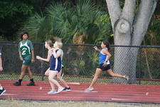 Enlarge photo 229