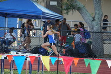 Enlarge photo 240