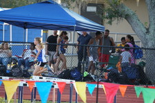 Enlarge photo 241