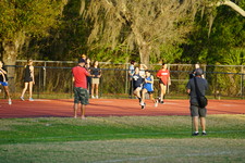 Enlarge photo 251