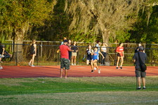 Enlarge photo 252