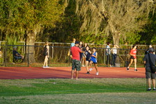 Enlarge photo 253