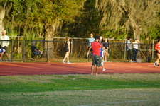 Enlarge photo 254