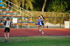 Enlarge photo 257